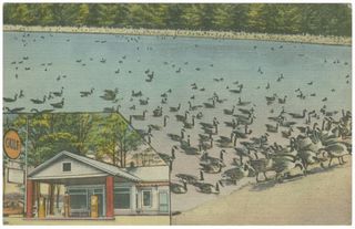 norman-martin-north-carolina-nc-ansonville-0002.jpg, Ansonville, North Carolina : norman-martin-north-carolina-nc-ansonville-0002.jpg [4708614-2320207]