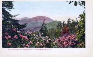 norman-martin-north-carolina-nc-asheville-0078.jpg, Asheville, North Carolina : norman-martin-north-carolina-nc-asheville-0078.jpg [4658066-595320198]