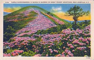 norman-martin-north-carolina-nc-asheville-0291.jpg, Asheville, North Carolina : norman-martin-north-carolina-nc-asheville-0291.jpg [4658279-595320205]