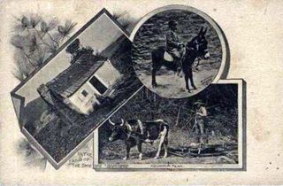 norman-martin-north-carolina-nc-asheville-0323.jpg, Asheville, North Carolina : norman-martin-north-carolina-nc-asheville-0323.jpg [4658311-595320210]