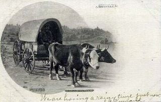 norman-martin-north-carolina-nc-asheville-0333.jpg, Asheville, North Carolina : norman-martin-north-carolina-nc-asheville-0333.jpg [4658321-595320202]