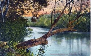 norman-martin-north-carolina-nc-asheville-0339.jpg, Asheville, North Carolina : norman-martin-north-carolina-nc-asheville-0339.jpg [4658327-595320197]