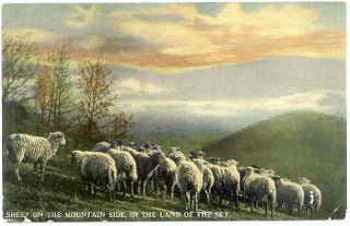 norman-martin-north-carolina-nc-asheville-0351.jpg, Asheville, North Carolina : norman-martin-north-carolina-nc-asheville-0351.jpg [4658339-595320207]