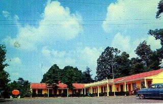 Yello Motel, Asheville, North Carolina : norman-martin-north-carolina-nc-asheville-0587.jpg [4658575-595320204]