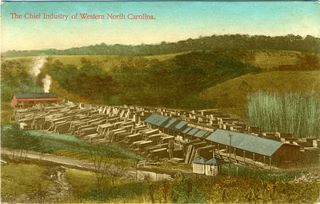 norman-martin-north-carolina-nc-azalea-0001.jpg, Azalea, North Carolina : norman-martin-north-carolina-nc-azalea-0001.jpg [4577950-1320204]