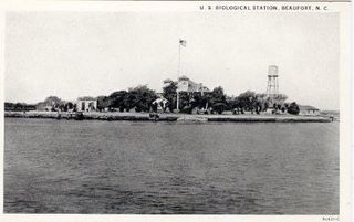 norman-martin-north-carolina-nc-beaufort-0009.jpg, Beaufort, North Carolina : norman-martin-north-carolina-nc-beaufort-0009.jpg [4487867-12320201]