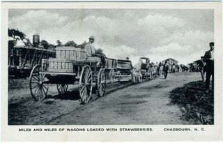 norman-martin-north-carolina-nc-chadbourn-0002.jpg, Chadbourn, North Carolina : norman-martin-north-carolina-nc-chadbourn-0002.jpg [3866443-5320205]