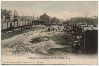 norman-martin-north-carolina-nc-chadbourn-0005.jpg, Chadbourn, North Carolina : norman-martin-north-carolina-nc-chadbourn-0005.jpg [3866446-5320213]