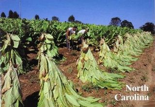 norman-martin-north-carolina-nc-durham-0041.jpg, Durham, North Carolina : norman-martin-north-carolina-nc-durham-0041.jpg [3375566-121320222]