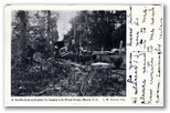 norman-martin-north-carolina-nc-great-dismal-swamp-0001.jpg, Great Dismal Swamp, North Carolina: norman-martin-north-carolina-nc-great-dismal-swamp-0001.jpg [2904820-1320205]