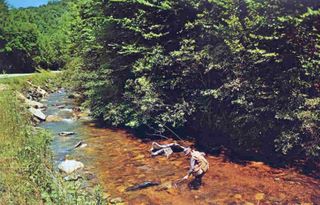 norman-martin-north-carolina-nc-great-smoky-mountains-0003.jpg, Great Smoky Mountains, North Carolina : norman-martin-north-carolina-nc-great-smoky-mountains-0003.jpg [2894766-55320205]