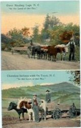 norman-martin-north-carolina-nc-great-smoky-mountains-0045.jpg, Great Smoky Mountains, North Carolina : norman-martin-north-carolina-nc-great-smoky-mountains-0045.jpg [2894808-55160253]