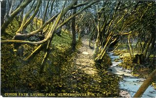 norman-martin-north-carolina-nc-henderson-county-0001.jpg, Henderson County, North Carolina : norman-martin-north-carolina-nc-henderson-county-0001.jpg [2754477-14320202]