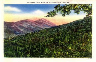 norman-martin-north-carolina-nc-linville-0014.jpg, Linville, North Carolina : norman-martin-north-carolina-nc-linville-0014.jpg [2223805-21320209]