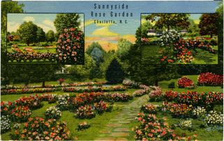 norman-martin-north-carolina-nc-mecklenburg-county-0045.jpg, Mecklenburg County, North Carolina : norman-martin-north-carolina-nc-mecklenburg-county-0045.jpg [2023503-142320202]