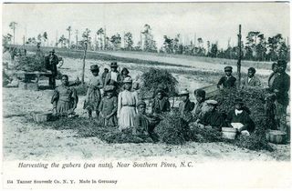 norman-martin-north-carolina-nc-moore-county-0003.jpg, Moore County, North Carolina : norman-martin-north-carolina-nc-moore-county-0003.jpg [1903257-97320210]