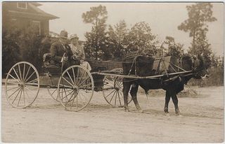 norman-martin-north-carolina-nc-moore-county-0046.jpg, Moore County, North Carolina : norman-martin-north-carolina-nc-moore-county-0046.jpg [1903300-97320206]