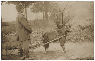 norman-martin-north-carolina-nc-moore-county-0065.jpg, Moore County, North Carolina : norman-martin-north-carolina-nc-moore-county-0065.jpg [1903319-97320205]