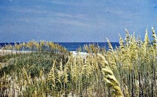 norman-martin-north-carolina-nc-nags-head-0009.jpg, Nags Head, North Carolina : norman-martin-north-carolina-nc-nags-head-0009.jpg [1732999-16320198]