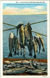 norman-martin-north-carolina-nc-new-hanover-county-0033.jpg, New Hanover County, North Carolina : norman-martin-north-carolina-nc-new-hanover-county-0033.jpg [1682767-159206320]