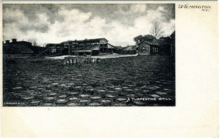 norman-martin-north-carolina-nc-new-hanover-county-0045.jpg, New Hanover County, North Carolina : norman-martin-north-carolina-nc-new-hanover-county-0045.jpg [1682779-159320201]