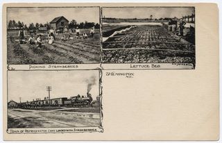 norman-martin-north-carolina-nc-new-hanover-county-0133.jpg, New Hanover County, North Carolina : norman-martin-north-carolina-nc-new-hanover-county-0133.jpg [1682867-159320206]