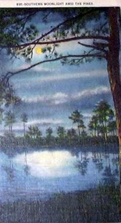 norman-martin-north-carolina-nc-north-carolina-0037.jpg, North Carolina : norman-martin-north-carolina-nc-north-carolina-0037.jpg [1632696-53174320]