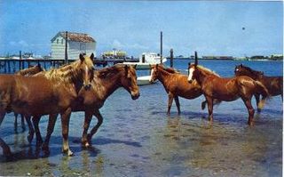 norman-martin-north-carolina-nc-ocracoke-0004.jpg, Ocracoke, North Carolina : norman-martin-north-carolina-nc-ocracoke-0004.jpg [1572593-26320199]
