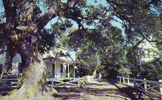norman-martin-north-carolina-nc-ocracoke-0019.jpg, Ocracoke, North Carolina : norman-martin-north-carolina-nc-ocracoke-0019.jpg [1572608-26320197]
