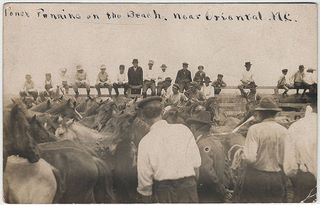 norman-martin-north-carolina-nc-oriental-0001.jpg, Oriental, North Carolina : norman-martin-north-carolina-nc-oriental-0001.jpg [1522450-4320205]