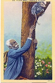 norman-martin-north-carolina-nc-outer-banks-0008.jpg, Outer Banks, North Carolina : norman-martin-north-carolina-nc-outer-banks-0008.jpg [1512311-145180272]