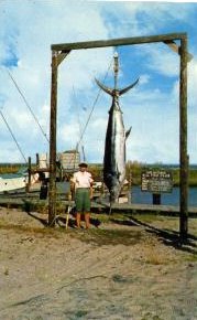norman-martin-north-carolina-nc-outer-banks-0028.jpg, Outer Banks, North Carolina : norman-martin-north-carolina-nc-outer-banks-0028.jpg [1512331-145179290]