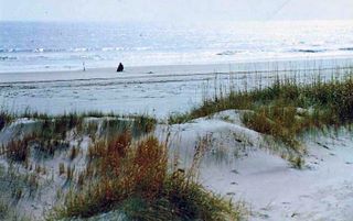 norman-martin-north-carolina-nc-outer-banks-0035.jpg, Outer Banks, North Carolina : norman-martin-north-carolina-nc-outer-banks-0035.jpg [1512338-145320201]