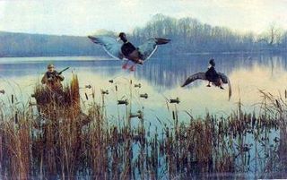 norman-martin-north-carolina-nc-outer-banks-0080.jpg, Outer Banks, North Carolina : norman-martin-north-carolina-nc-outer-banks-0080.jpg [1512383-145320201]