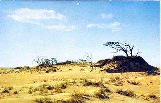 norman-martin-north-carolina-nc-outer-banks-0086.jpg, Outer Banks, North Carolina : norman-martin-north-carolina-nc-outer-banks-0086.jpg [1512389-145320205]