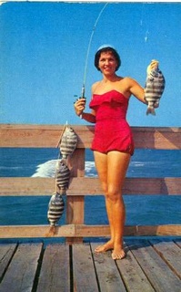 norman-martin-north-carolina-nc-outer-banks-0094.jpg, Outer Banks, North Carolina : norman-martin-north-carolina-nc-outer-banks-0094.jpg [1512397-145199320]