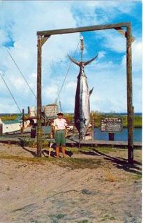 norman-martin-north-carolina-nc-outer-banks-0104.jpg, Outer Banks, North Carolina : norman-martin-north-carolina-nc-outer-banks-0104.jpg [1512407-145205320]