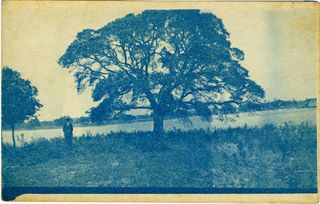 norman-martin-north-carolina-nc-pamlico-county-0007.jpg, Pamlico County, North Carolina : norman-martin-north-carolina-nc-pamlico-county-0007.jpg [1492282-9320204]