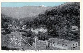 norman-martin-north-carolina-nc-plumtree-0001.jpg, Plumtree, North Carolina : norman-martin-north-carolina-nc-plumtree-0001.jpg [1302145-3320205]
