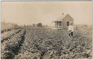 norman-martin-north-carolina-nc-saint-helena-0001.jpg, Saint Helena, North Carolina : norman-martin-north-carolina-nc-saint-helena-0001.jpg [951477-1320206]