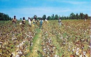 norman-martin-north-carolina-nc-smithfield-0001.jpg, Smithfield, North Carolina : norman-martin-north-carolina-nc-smithfield-0001.jpg [791292-6320199]