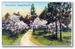 norman-martin-north-carolina-nc-southern-pines-0010.jpg, Southern Pines, North Carolina: norman-martin-north-carolina-nc-southern-pines-0010.jpg [761229-67320201]