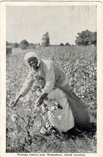 norman-martin-north-carolina-nc-wadesboro-0001.jpg, Wadesboro, North Carolina : norman-martin-north-carolina-nc-wadesboro-0001.jpg [43976-3211320]