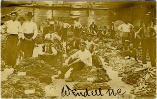 norman-martin-north-carolina-nc-wake-county-0024.jpg, Wake County, North Carolina : norman-martin-north-carolina-nc-wake-county-0024.jpg [42890-108320203]