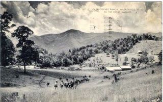 norman-martin-north-carolina-nc-waynesville-0009.jpg, Waynesville, North Carolina : norman-martin-north-carolina-nc-waynesville-0009.jpg [32686-65320200]