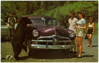 norman-martin-north-carolina-nc-western-nc-0009.jpg, Western, North Carolina : norman-martin-north-carolina-nc-western-nc-0009.jpg [1592631-17320206]