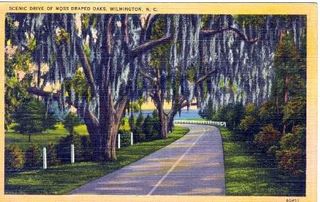 norman-martin-north-carolina-nc-wilmington-0136.jpg, Wilmington, North Carolina : norman-martin-north-carolina-nc-wilmington-0136.jpg [18514-217320202]