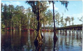 norman-martin-north-carolina-nc-wilmington-0138.jpg, Wilmington, North Carolina : norman-martin-north-carolina-nc-wilmington-0138.jpg [18516-217320199]