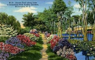 norman-martin-north-carolina-nc-wilmington-0148.jpg, Wilmington, North Carolina : norman-martin-north-carolina-nc-wilmington-0148.jpg [18526-217320202]