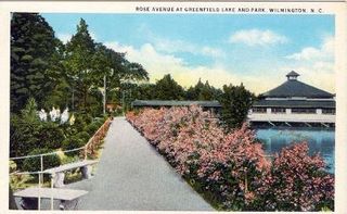 norman-martin-north-carolina-nc-wilmington-0177.jpg, Wilmington, North Carolina : norman-martin-north-carolina-nc-wilmington-0177.jpg [18555-217320197]